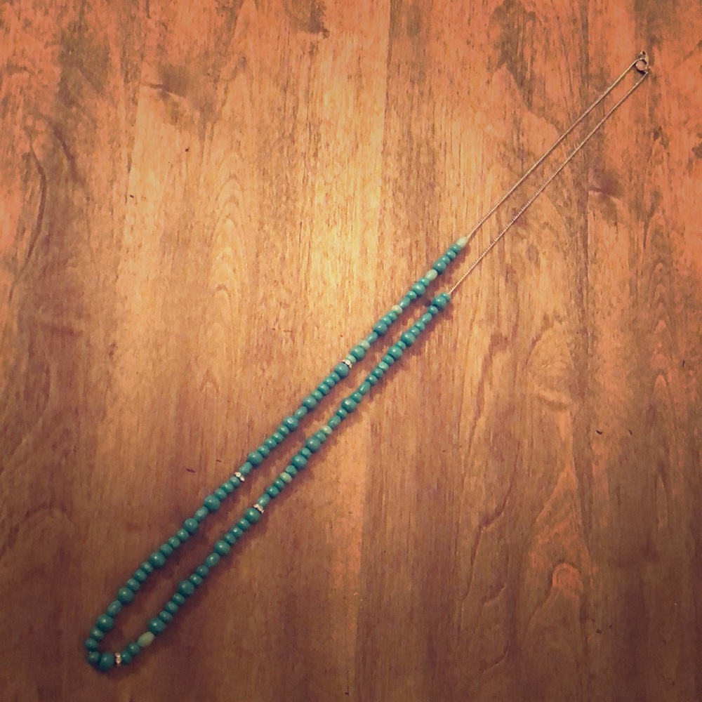 J. Crew long necklace